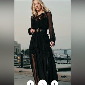 Ruffled Chiffon Semi-Sheer Dress